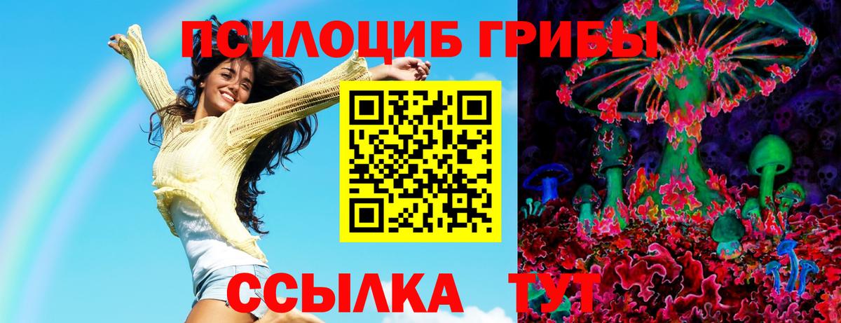 Советск  Галлюциногенные грибы прущие грибы  Вход с VPN 