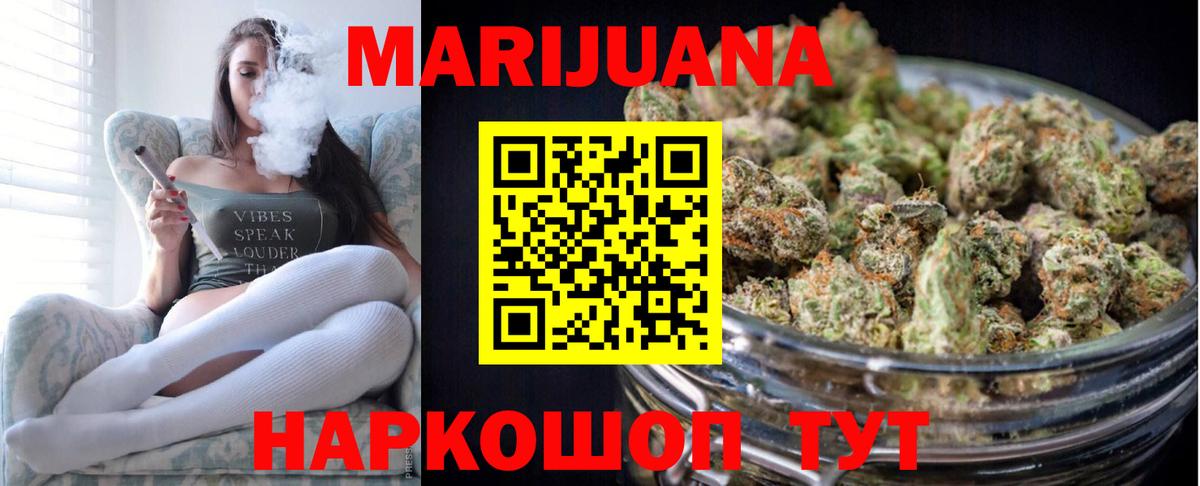 Бошки Шишки планчик Советск